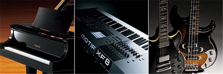 明升ms88乐器