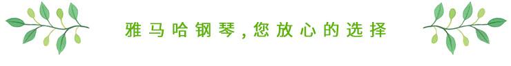 这才是真相：绿色关爱，明升ms88的环境政策