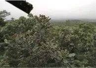 这才是真相：绿色关爱，明升ms88的环境政策