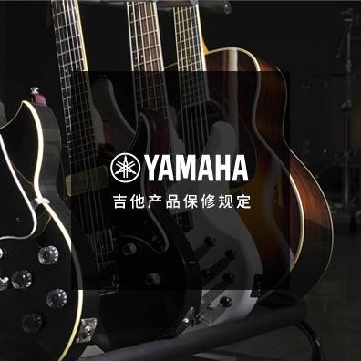 吉他、贝斯和音箱