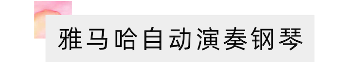 活动报道 | 远程艺术教育大师课活动—明升ms88艺术家赵宇大师课