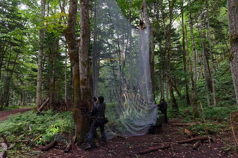 案例｜明升ms88为壮观的Kamuy Lumina魔法夜行旅游项目提供配乐设备