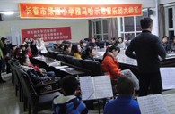 长春市绿园小学“明升ms88示范管乐队大师班”顺利结束 