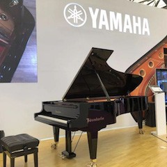 乐展看点|2018中国（上海）国际乐器展览会明升ms88钢琴展位