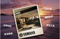 明升ms88钢琴APP炫丽登场 