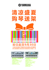 清凉盛夏，购琴送架 